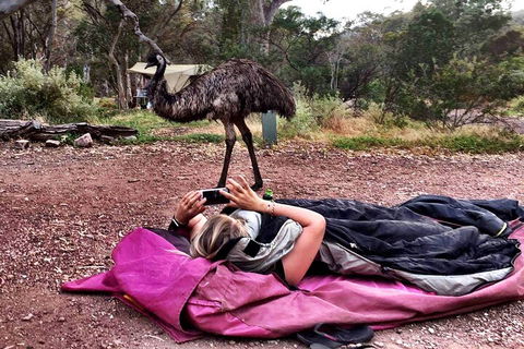 6 Day Esperance & Margaret River Adventure Tour - Geraldton Accommodation 5
