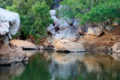 Windjana Gorge And Tunnel Creek 4WD Tour From Broome - Geraldton Accommodation 5