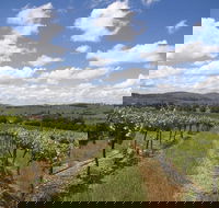 Hunter Valley Wine Tour from Sydney incl Lunch Cheese Chocolate and Distillery - Geraldton Accommodation