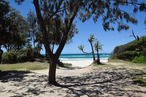 Brisbane Like A Local Customized Private Tour - Geraldton Accommodation 3