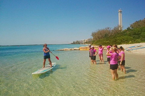 Golden Beach 1-Hour Stand-Up Paddleboard Hire On The Sunshine Coast - Geraldton Accommodation 1